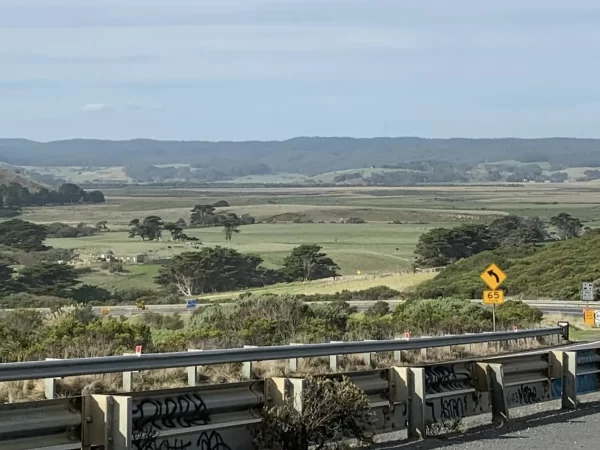 Skenes Creek Must-Visit Stop Great Ocean Road