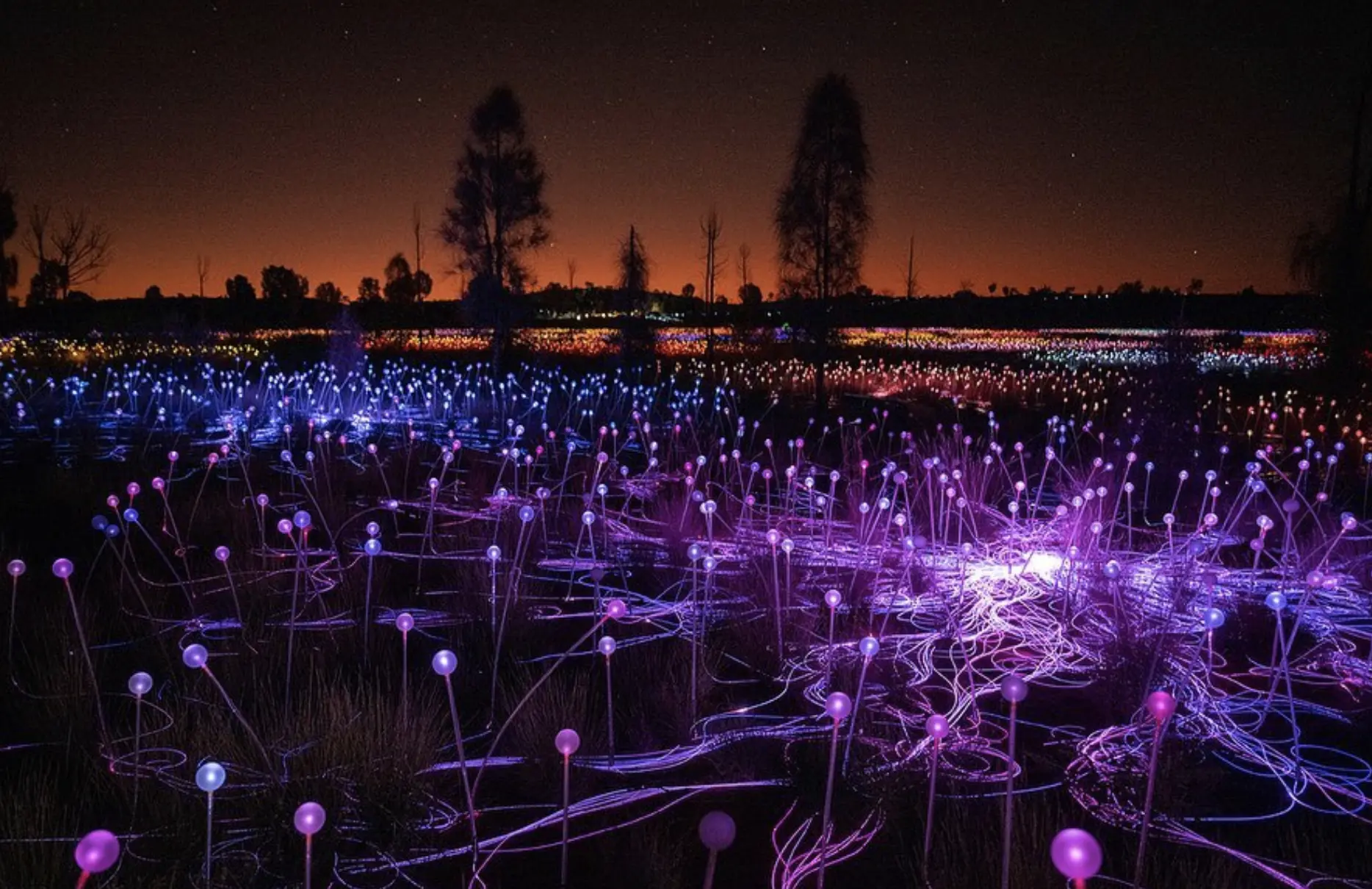 Australia Field of Lights